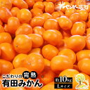 【ふるさと納税】＼光センサー選別／完熟有田みかんLサイズ　約10kg 有機質肥料100% ふるさと納税 ミカン ※2024年11月中旬頃～2025年1月上旬頃に順次発送予定※着日指定不可※沖縄・離島への配送不可