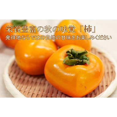 【R8年10月以降発送】刀根早生柿発祥の地より「たねなし柿」L～2L(32～36玉)【秀品】【配送不可地域：離島】 秀品