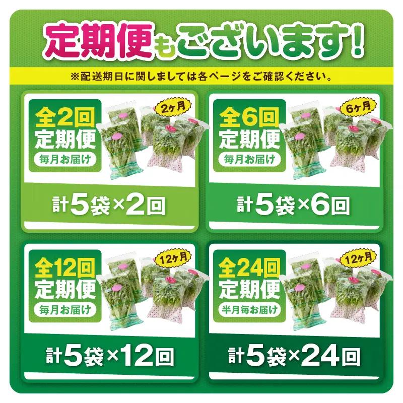 1627-2 【 全6回 定期便 】洗わずに食べられる プレミアム 水耕栽培 レタス セット（ 計5袋 ） KN064-T02 野菜