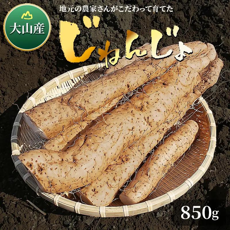 MS-07　大山産自然薯 850g