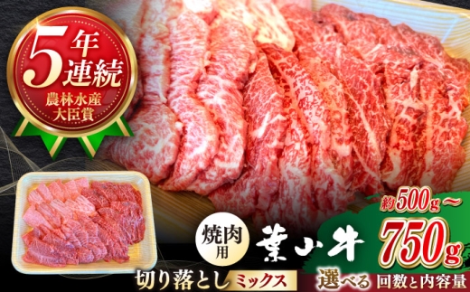 【 全3回 定期便 】葉山牛 500g 焼肉用ミックス（ロース モモ カルビ等） 農林水産大臣賞5年連続受賞歴有 牛肉 冷凍 牛 焼肉 ぎゅう肉 パック【葉山牛ステーキレストラン 角車】 [ASBD028]