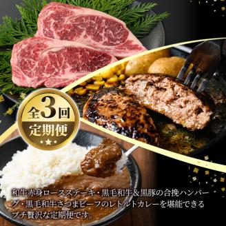 a838 ≪数量限定・定期便全3回≫黒豚・和牛の総菜定期便！計2.7kg超！【水迫畜産】