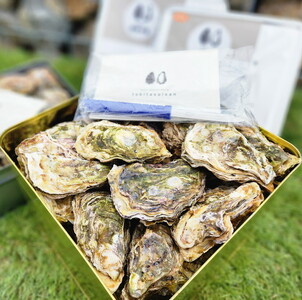 飛田水産　石川県七尾産　能登かき　殻付き一斗缶｜牡蠣　専用ナイフ 牡蠣 かき カキ 能登の里山里海 石川県七尾市 能登半島 ※要加熱 ※2026年1月上旬～5月下旬頃に順次発送予定 ※北海道・沖縄・離