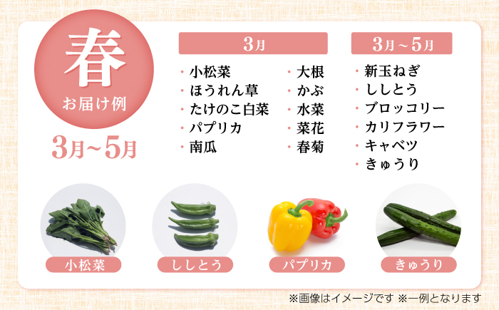 【12回定期便】土佐の太陽をいっぱいに浴びた旬の野菜生姜約100gのセット「大」 (12回配送)【土佐野菜】 [ATBA016]