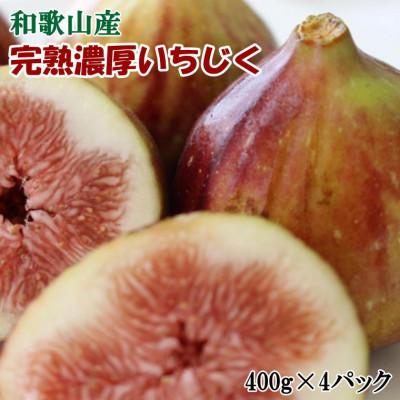 ふるさと納税 紀の川市 【厳選・産地直送】和歌山紀の川産の完熟濃厚いちじく400g×4パック入り