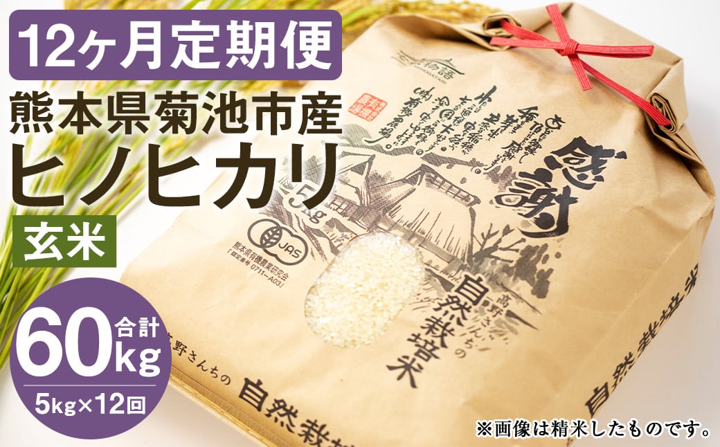 【真空パック】【定期便12ヶ月】七城物語 高野さんちの 自然栽培米 （玄米） 5kg （2.5kg×2パック） 合計60kg お米 米 玄米 ヒノヒカリ《お申込みの翌月から出荷予定》