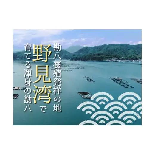 【 カンパチ 】 カンパチ 半身