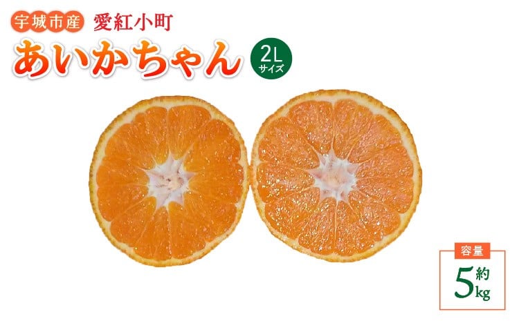
            【先行受付】  愛紅小町 あいかちゃん 約5kg 20～30玉 2Lサイズ【吉田レモニー】【2025年10月上旬-2026年1月下旬発送】温州みかん
          