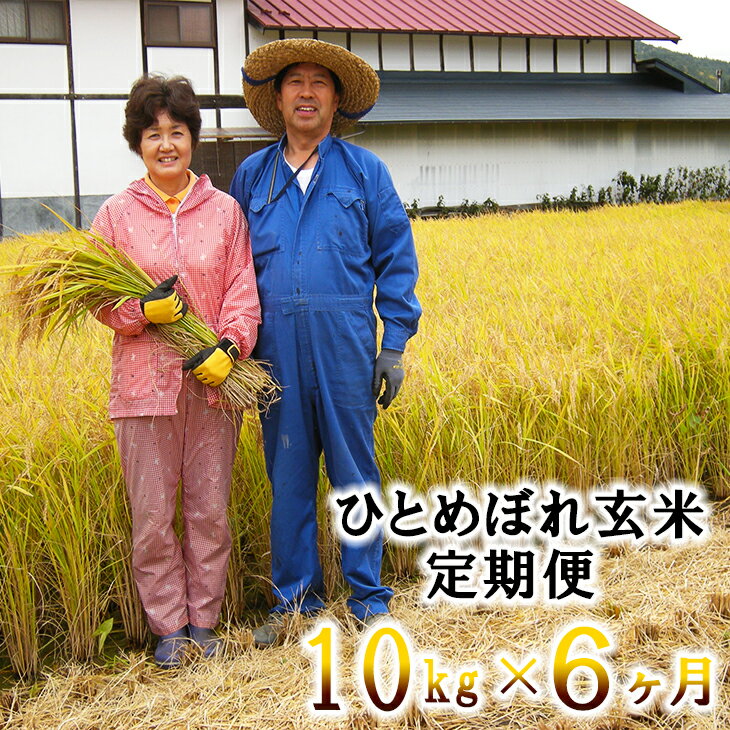【ふるさと納税】ひとめぼれ 【6ヶ月定期便】玄米 減農薬栽培 10kg (5kg×2袋） 令和7年産 お米 ふるさと納税 米 定期便