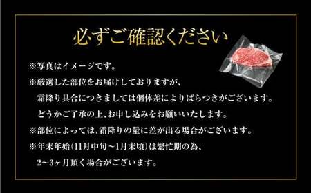 【特選】常陸牛（ひたちぎゅう） A5等級 サーロインステーキ 3枚（250g×3） 計750g