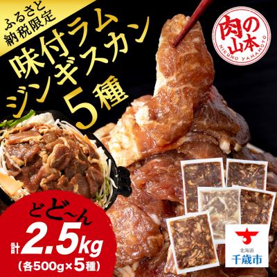 ふるさと納税 千歳市 味付 ラムジンギスカン 5種 食べ比べ 2.5kg≪ 肉の山本 ≫ 千歳ラム工房 ラム肉 千歳