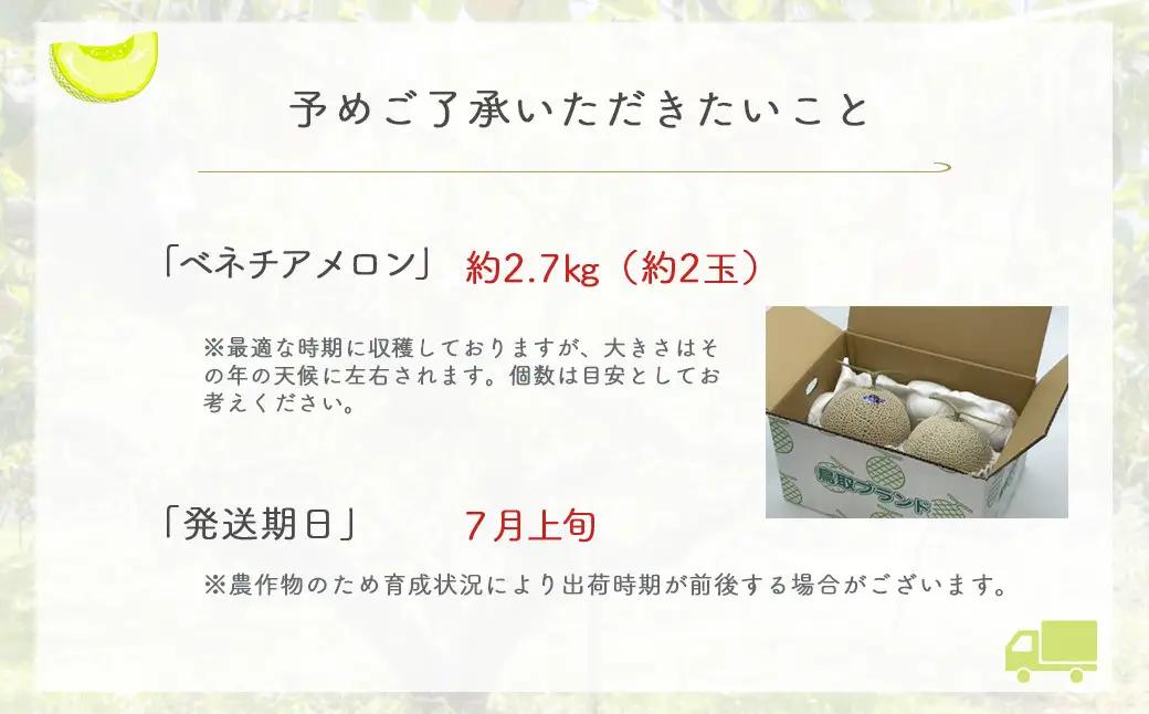 ベネチアメロン 約2.7kg【倉吉産】（7月発送） 2026 メロン
