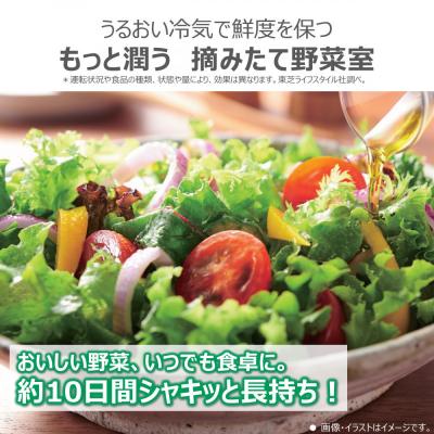 ふるさと納税 川崎市 東芝　冷蔵庫【標準設置費込み】　551L　6ドア　両開き　冷凍冷蔵庫　GR-Y550FZ(ZH) |  | 01