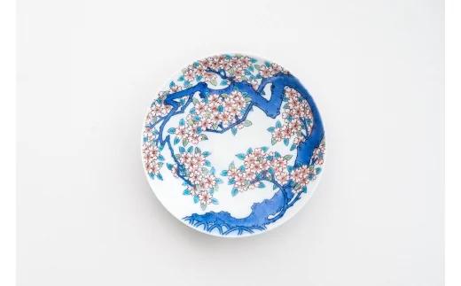 【伊万里焼】色鍋島桜樹文5寸高台皿 023-H626
