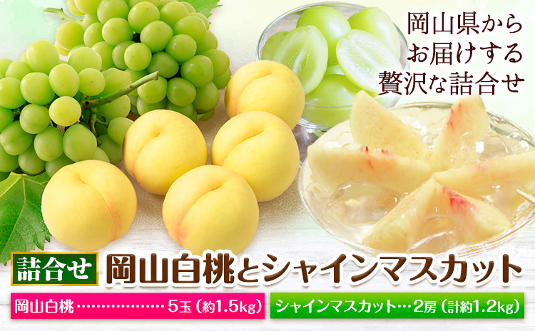 【2026年先行予約】岡山白桃 と シャインマスカット 詰合せ 5玉 約1.5kg 2房 計約1.3kg 環山堂株式会社《2026年7月中旬-8月上旬頃出荷》岡山県 浅口市 桃 マスカット ぶどう 詰め合わせ 果物 送料無料