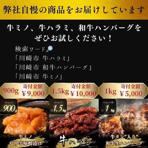 牛タン”入り”和牛生ハンバーグ　100g×10pc　合計1kg