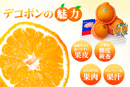デコポン 約3kg 不知火 フレッシュフーズ デコポン
