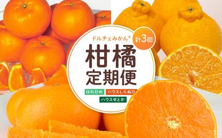 尾道発 厳選！柑橘定期便 全3回 はれひめ ハウスせとか ハウス不知火