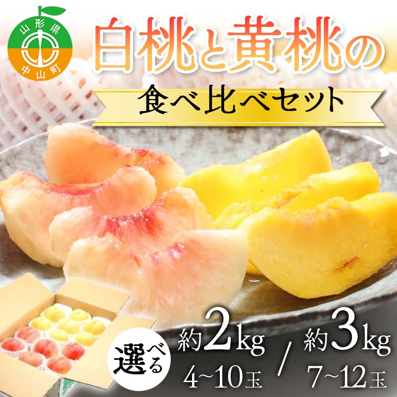 【ふるさと納税】 《2025年先行予約》 数量が選べる どちらも食べたい！白桃と黄桃の食べ比べセット 桃 もも フルーツ 果物 くだもの 山形県 中山町 F4A-0429var