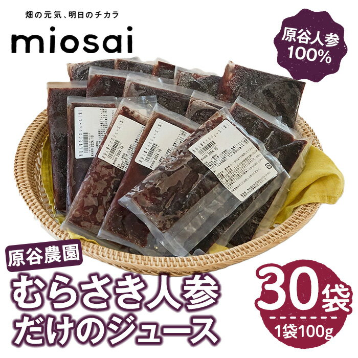 【ふるさと納税】＜ミオサイ＞原谷農園 むらさき人参だけのジュース(計30袋) 紫 ニンジン にんじん ジュース 野菜 北海道 原谷人参 【uj-DA004】【角井食品】