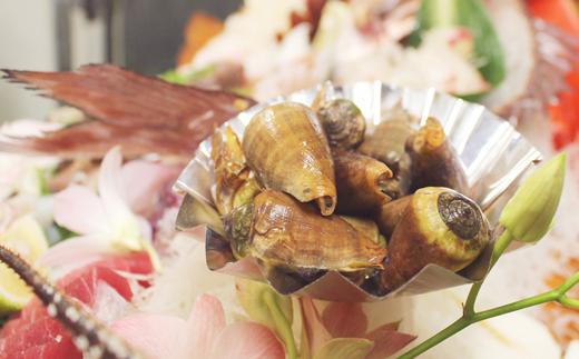 チャンバラ貝　約10kg