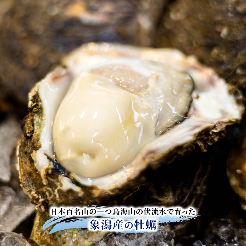【 先行予約 7月上旬～下旬発送予定】象潟産 天然岩牡蠣 5～6個 ナイフ無【 牡蠣 夏牡蠣 かき 象潟 生食可 魚介類 海鮮 海産物 海の幸 】 さとう鮮魚店