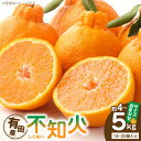 【ふるさと納税】【限定】有田産 不知火 13個～20個入り(約4～5kg)おまかせサイズ