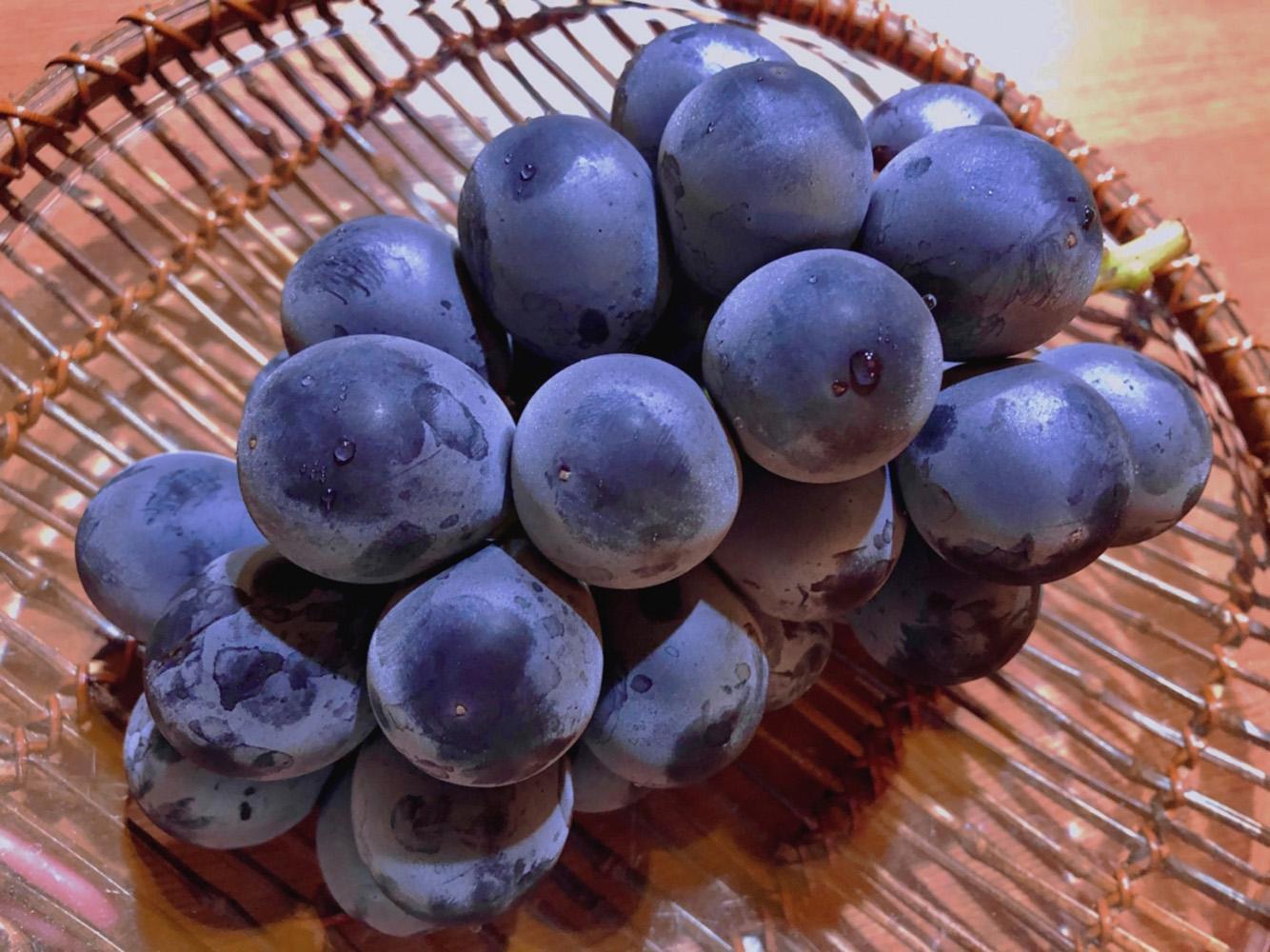 【先行予約】巨峰3～4房 1.2kg   2025年8月下旬発送開始 朝採れ 新鮮 減農薬　和歌山県　巨峰村　農園直送  BA43