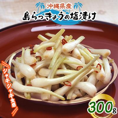 ふるさと納税 嘉手納町 島らっきょうの塩漬け300g