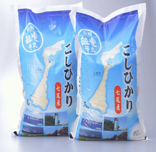 七尾産こしひかり10kg(5kg×2)　「能登の里山里海（世界農業遺産）」で育ったお米です ◇ ｜ 石川県 七尾市 能登 ※2025年2月上旬頃より順次発送予定