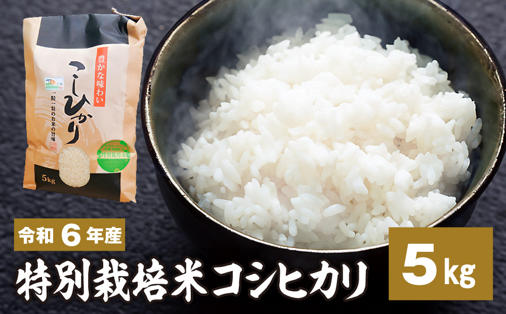 
新米【令和六年産】特別栽培米コシヒカリ 5kg 新米 米 お米 コメ こめ 精米 ライス 白米 炭水化物 ご飯 主食 食卓 おにぎり お弁当 茨城県産
