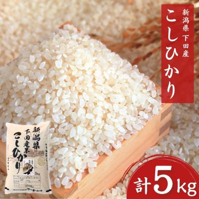 ふるさと納税 三条市 先行受付 コシヒカリ 5kg 新潟県三条市下田産こしひかり 令和7年産 【010S180】