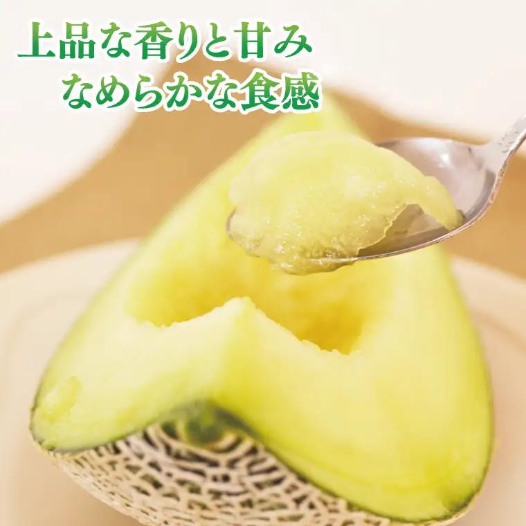 アールスメロン 1玉 益子町 AA040