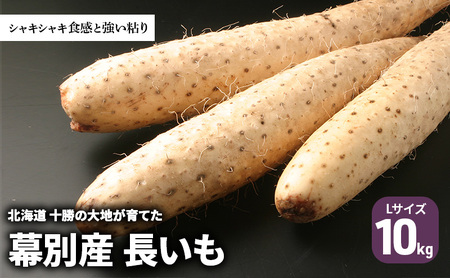 長いも 10kg Lサイズ 北海道十勝幕別産 長いも