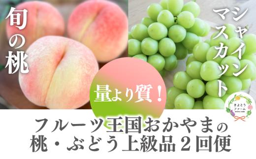 【2026年先行予約】量より質！桃とシャインマスカット、上級品の2回便 (定期便) (岡山県産)  / 8月10月 【KF-T060-02】