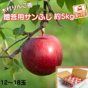 【ふるさと納税】りんご 青森 サンふじ リンゴ 約 5kg (12～18玉) 青森県 鰺ヶ沢町産 木村りんご園 フルーツ 果物 果物類 白神山地 林檎 サンフジ ふじ 2024　 鰺ヶ沢町 　お届け：2024年11月20日～2025年1月10日