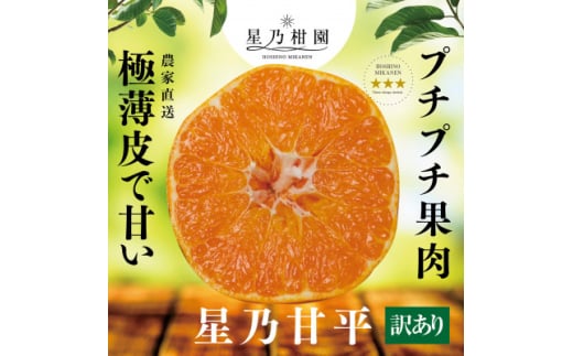 ＜訳あり＞星乃みかん園の甘平(3.5kg)＜D45-95＞【1625779】
