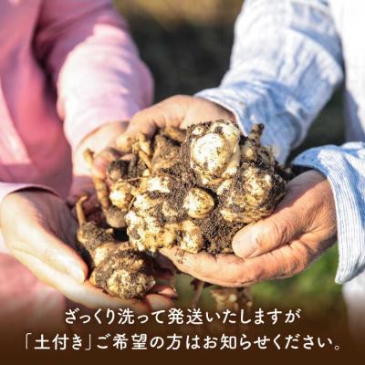 ふるさと納税 糸島市 糸島産菊芋5kg自然栽培 糸島市/大石ファーム[ATE008] |  | 02