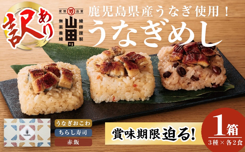 
            【訳あり】〈賞味期限間近！〉鹿児島県産うなぎ使用！山田のうなぎめし1箱(6食入) うなぎ 鰻 国産 鹿児島 蒲焼き かばやき タレ ご飯 おこわ うなぎめし p7-043
          
