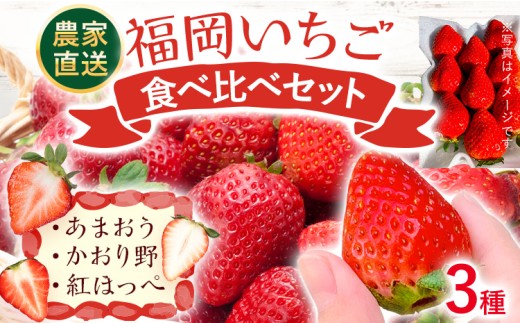 【期間限定】福岡 いちご 食べ比べセット あまおう かおり野 紅ほっぺ 3種  苺 フルーツ 果物 くだもの 福岡県産 農家直送 詰め合わせ フルーツ 果物 苺 旬 クラフト農法 ギフト【2027年2月より順次発送】