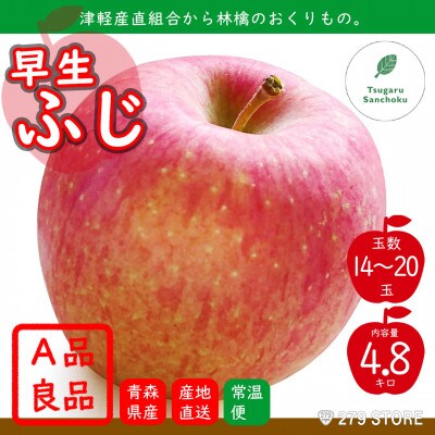 10月初旬頃発送 早生ふじ A品 5キロ箱 4.8kg 14～20玉 津軽りんご 産地直送【配送不可地域：離島】