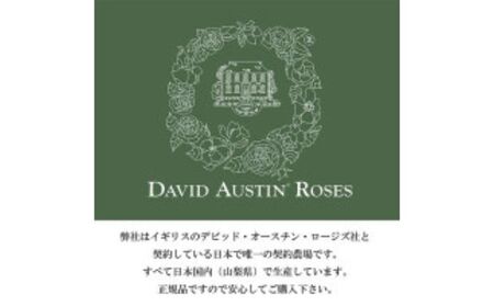 バラ鉢植え「ザ ミル オン ザ フロス」