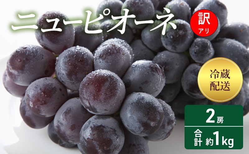 訳あり ぶどう ニューピオーネ 2房 合計約1kg 岡山県 高梁市産 2026年 先行予約 クール便 冷蔵 フルーツ 葡萄 ブドウ 種無し 産地直送 大粒 爽やか 食べやすい