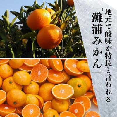 ふるさと納税 氷見市 氷見のポン酢　灘浦みかん　120mL |  | 01