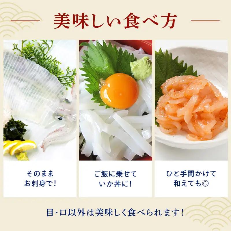 『先行予約』唐津呼子産いか活造り 1杯(約150g～180g)  急速冷凍 新鮮そのまま食卓へ！※水揚げあり次第7月以降順次発送させていただきます。