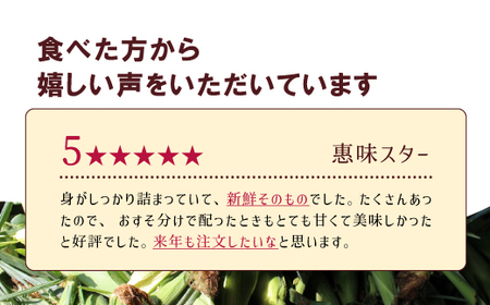 《今が旬！》採れたてスイートコーン(恵味スター)3L・12本セット 【糖度目安:約17度】《2025年7月中旬-8月下旬出荷》