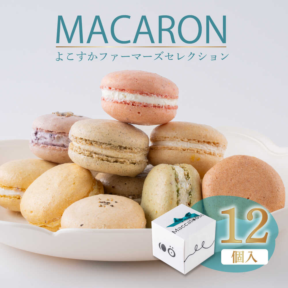 【ふるさと納税】マカロン12個セット　よこすかfarmersSelection マカロン　お菓子　スイーツ 野菜　【マカルース】[AKGS002]