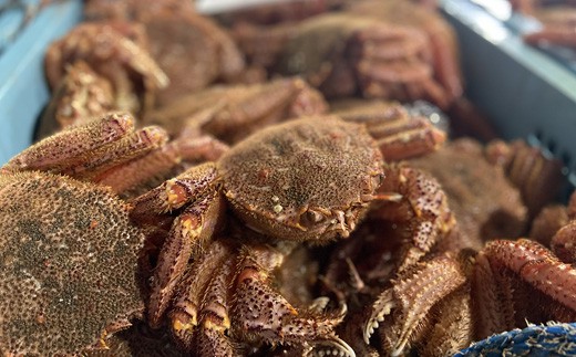 北海道オホーツク海産 訳あり　浜ゆで毛ガニ　2kg（冷凍）