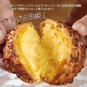 クッキーシュークリーム 5個 シュークリーム シュークリーム シュークリーム シュークリーム シュークリーム