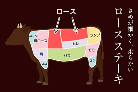 あか牛（褐毛和種）ロースステーキ (リブまたはサーロイン) 250g×2 500g 熊本県産 肉 和牛 牛肉 赤牛 あかうし リブロース サーロイン 冷凍 《30日以内に出荷予定(土日祝除く)》送料無